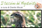 Il taccuino del migratorista
